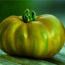 Tomate Evergreen