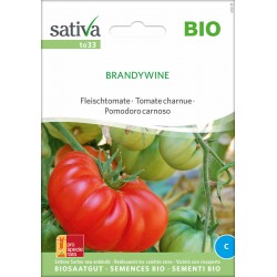 Tomate Brandywine